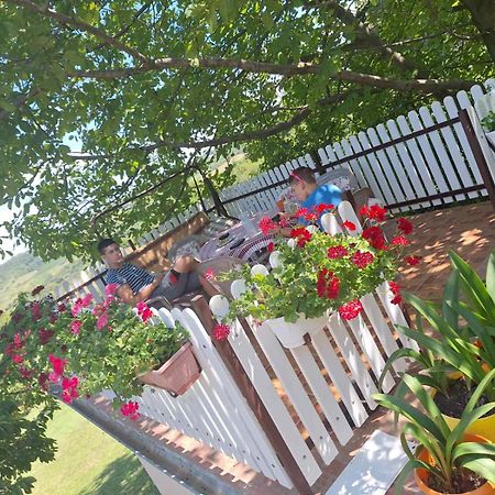 Guest House Jevtovic سرمسكي كارلوفيتش المظهر الخارجي الصورة