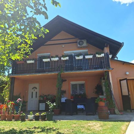 Guest House Jevtovic سرمسكي كارلوفيتش المظهر الخارجي الصورة