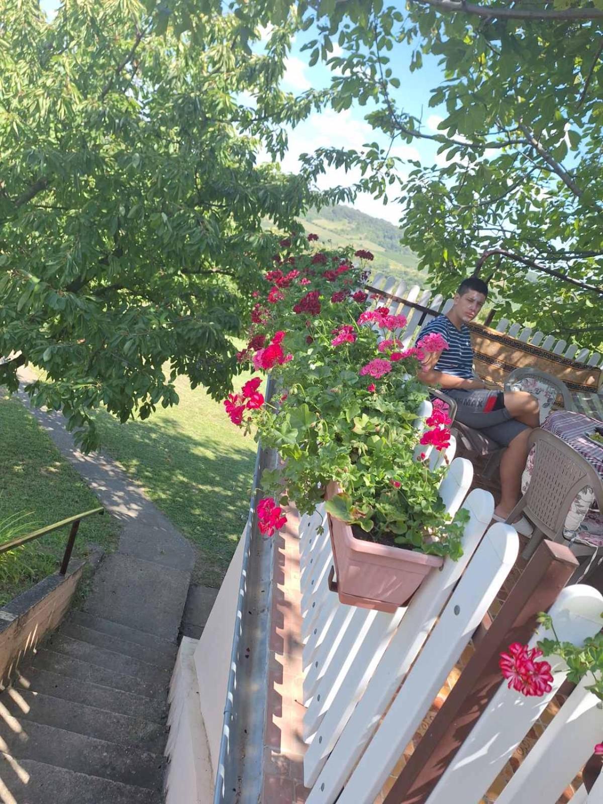Guest House Jevtovic سرمسكي كارلوفيتش المظهر الخارجي الصورة