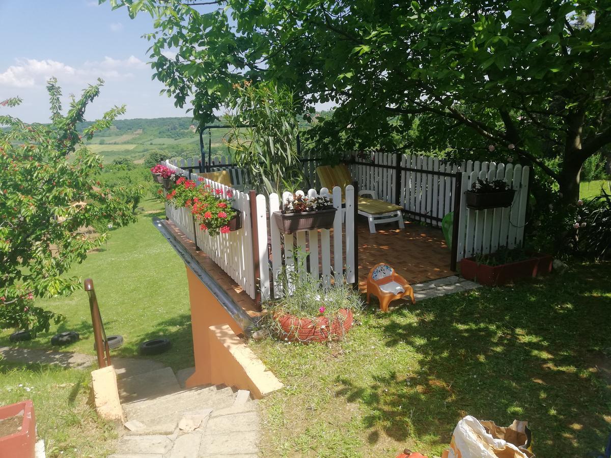 Guest House Jevtovic سرمسكي كارلوفيتش المظهر الخارجي الصورة