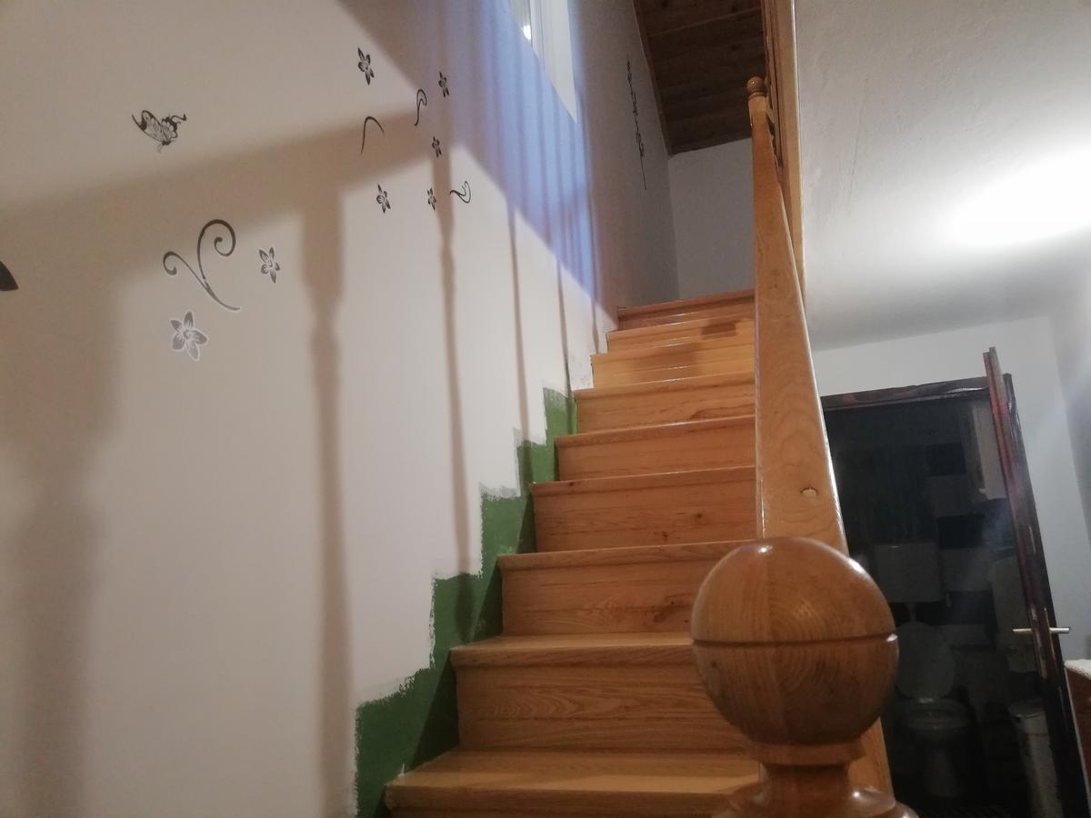 Guest House Jevtovic سرمسكي كارلوفيتش المظهر الخارجي الصورة