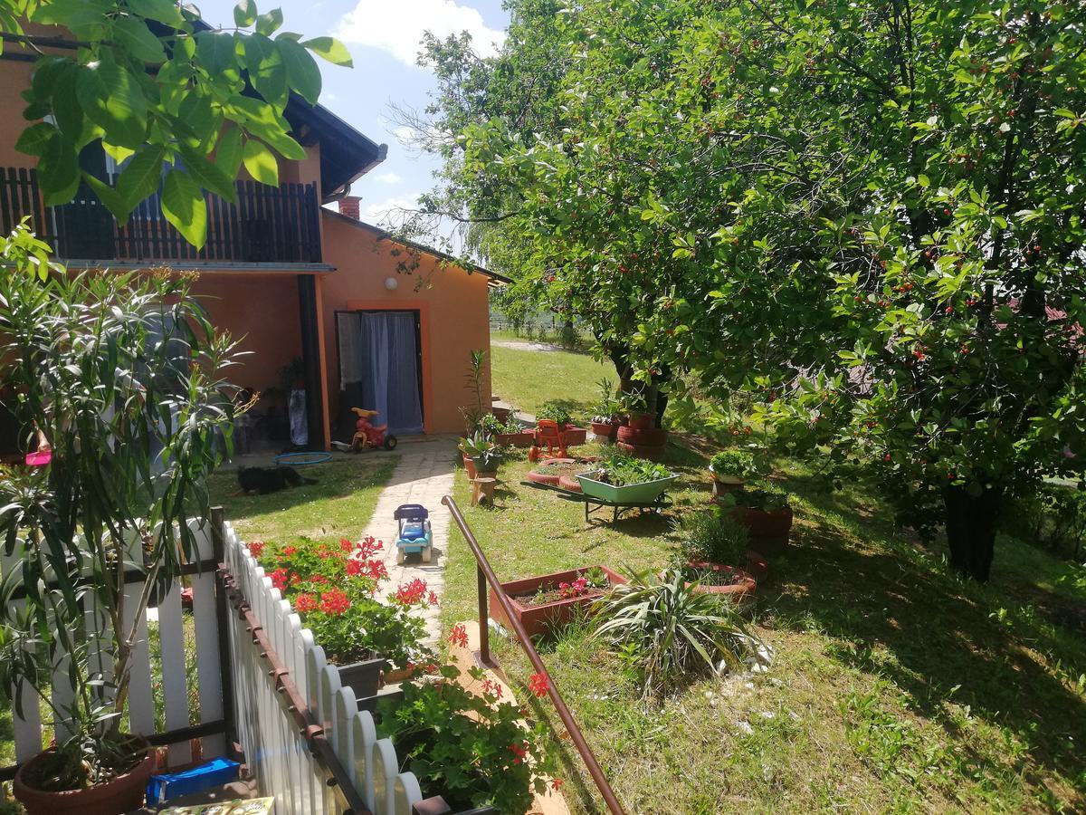 Guest House Jevtovic سرمسكي كارلوفيتش المظهر الخارجي الصورة