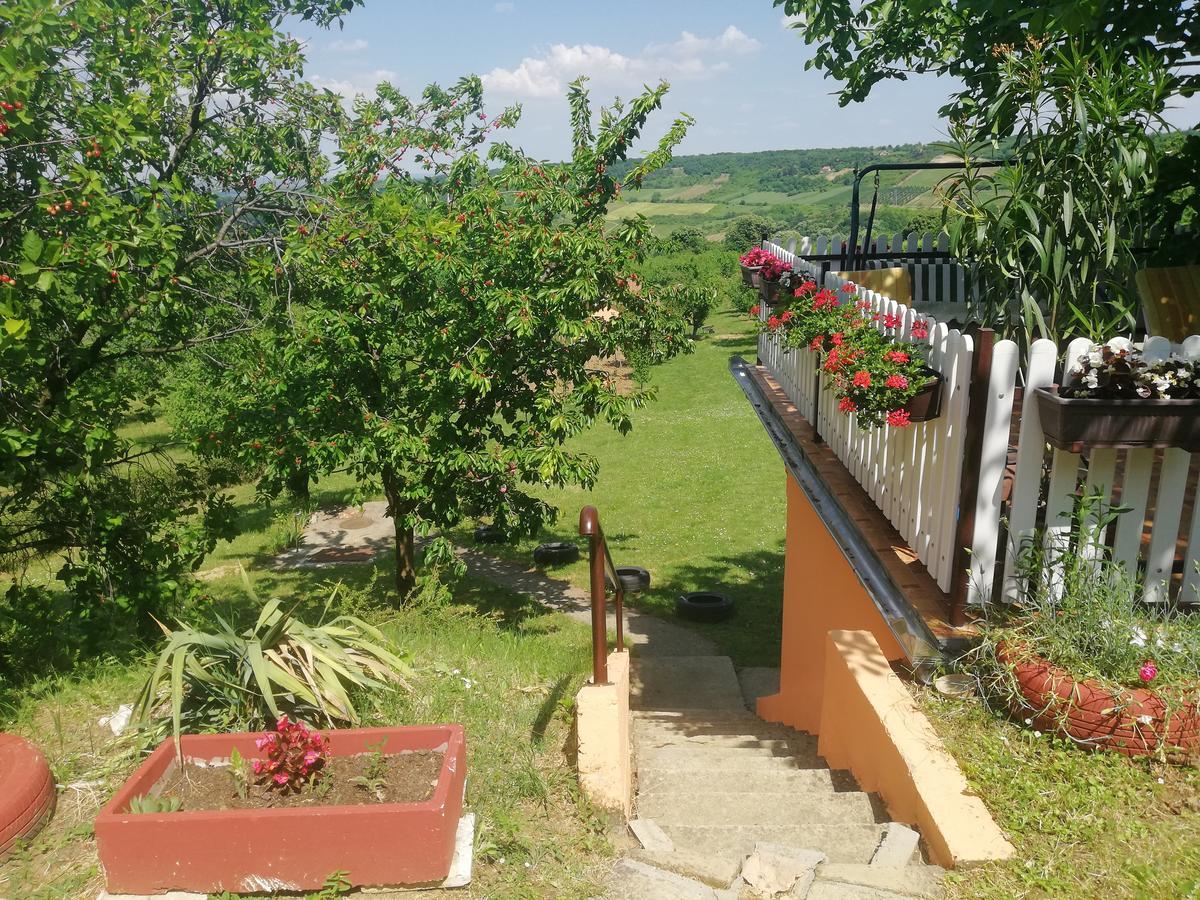 Guest House Jevtovic سرمسكي كارلوفيتش المظهر الخارجي الصورة
