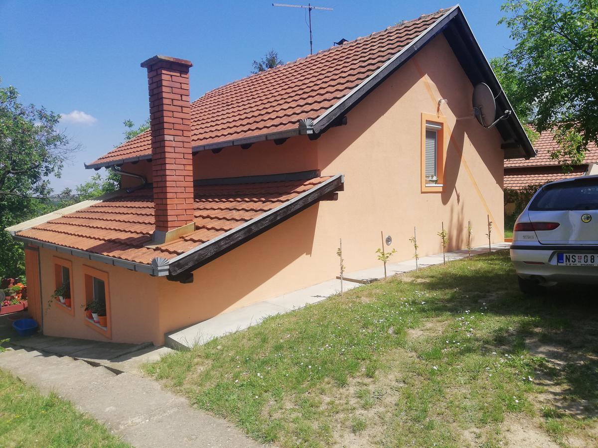 Guest House Jevtovic سرمسكي كارلوفيتش المظهر الخارجي الصورة