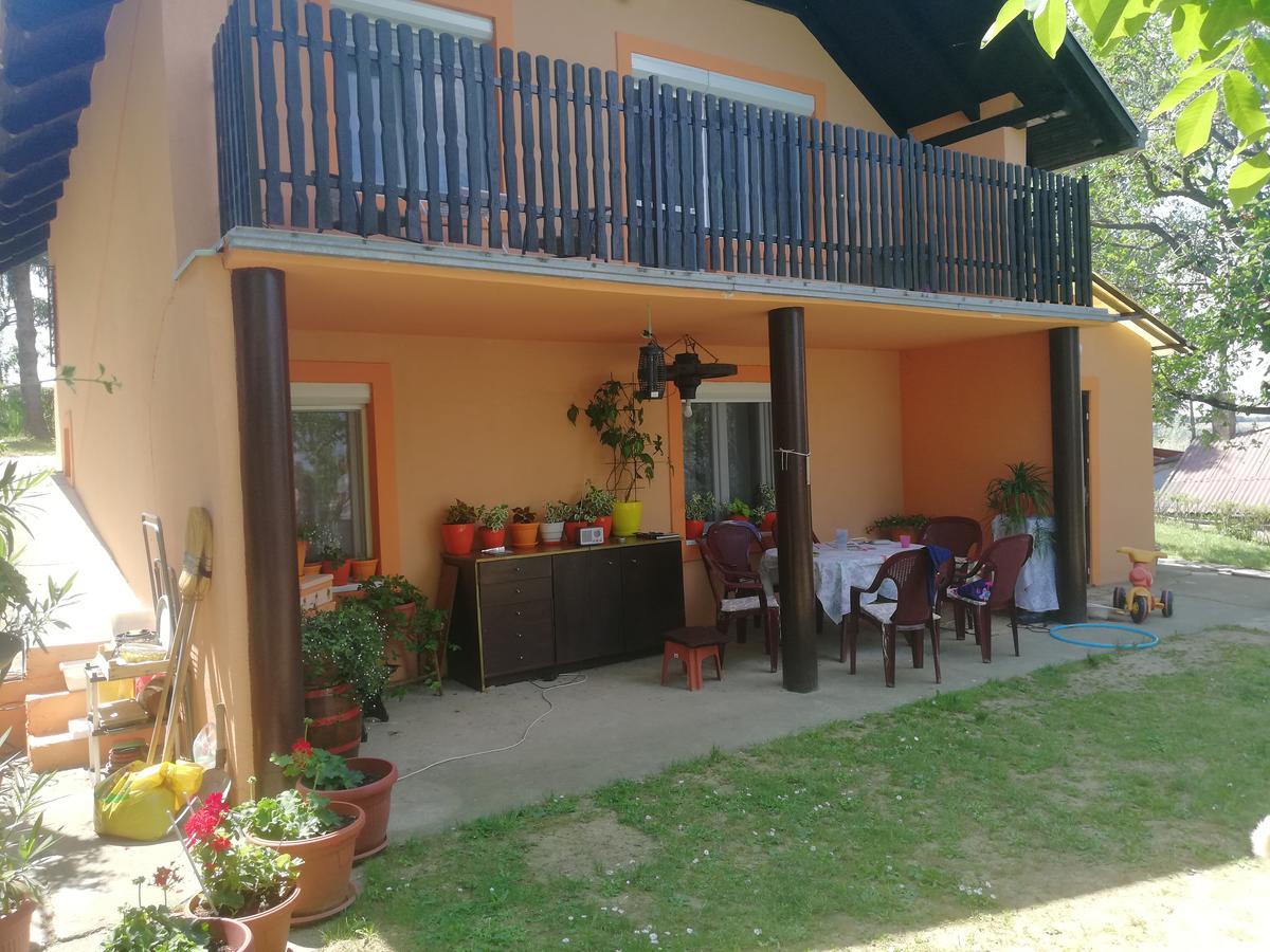 Guest House Jevtovic سرمسكي كارلوفيتش المظهر الخارجي الصورة