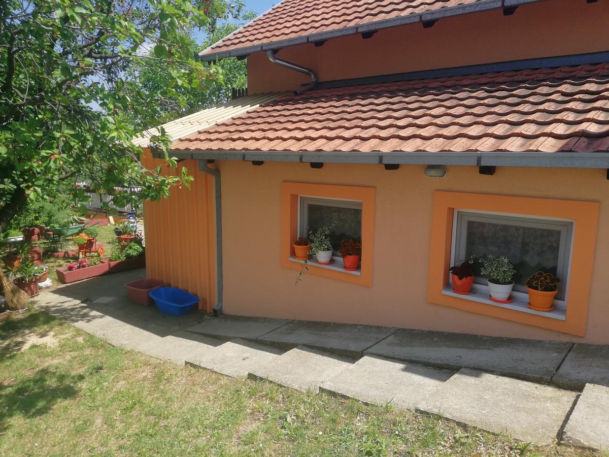 Guest House Jevtovic سرمسكي كارلوفيتش المظهر الخارجي الصورة