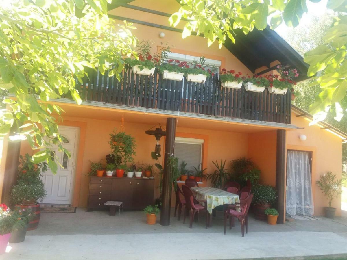Guest House Jevtovic سرمسكي كارلوفيتش المظهر الخارجي الصورة