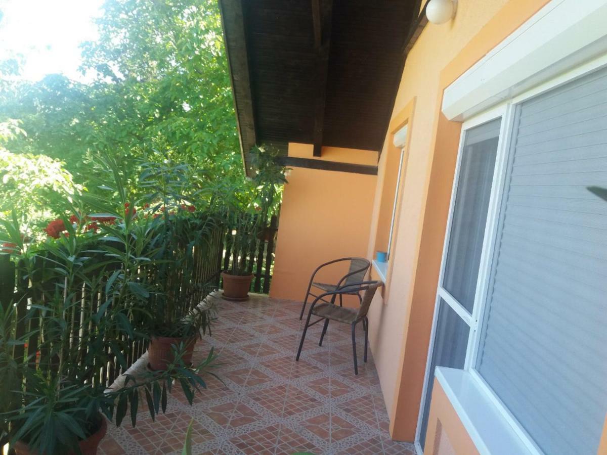 Guest House Jevtovic سرمسكي كارلوفيتش المظهر الخارجي الصورة